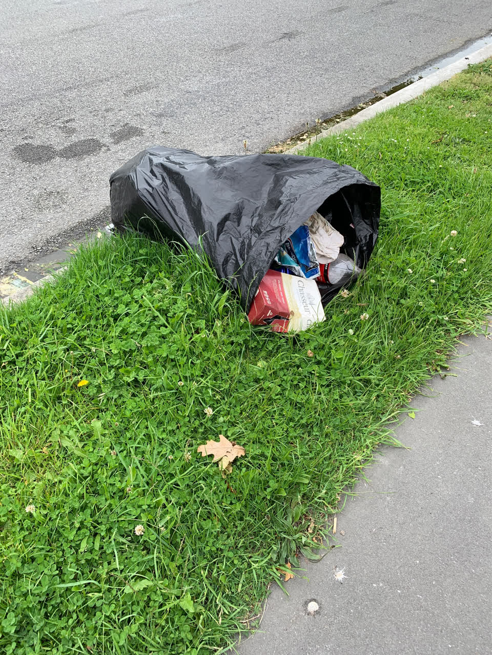 The photograph attached to this rubbish/recycling report