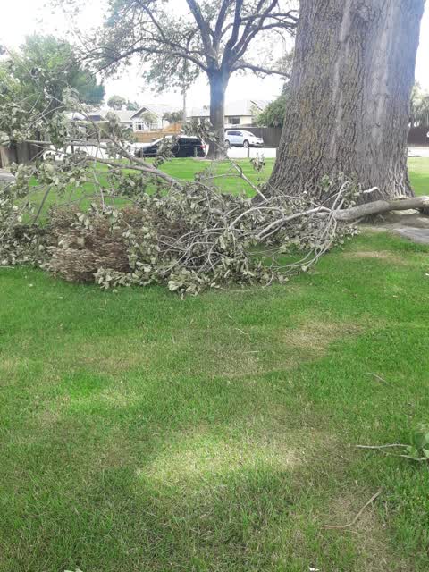 Parks, a report photo