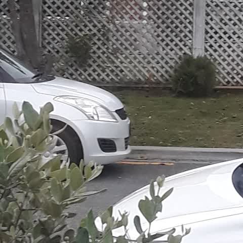 Roading/Streets, a report photo