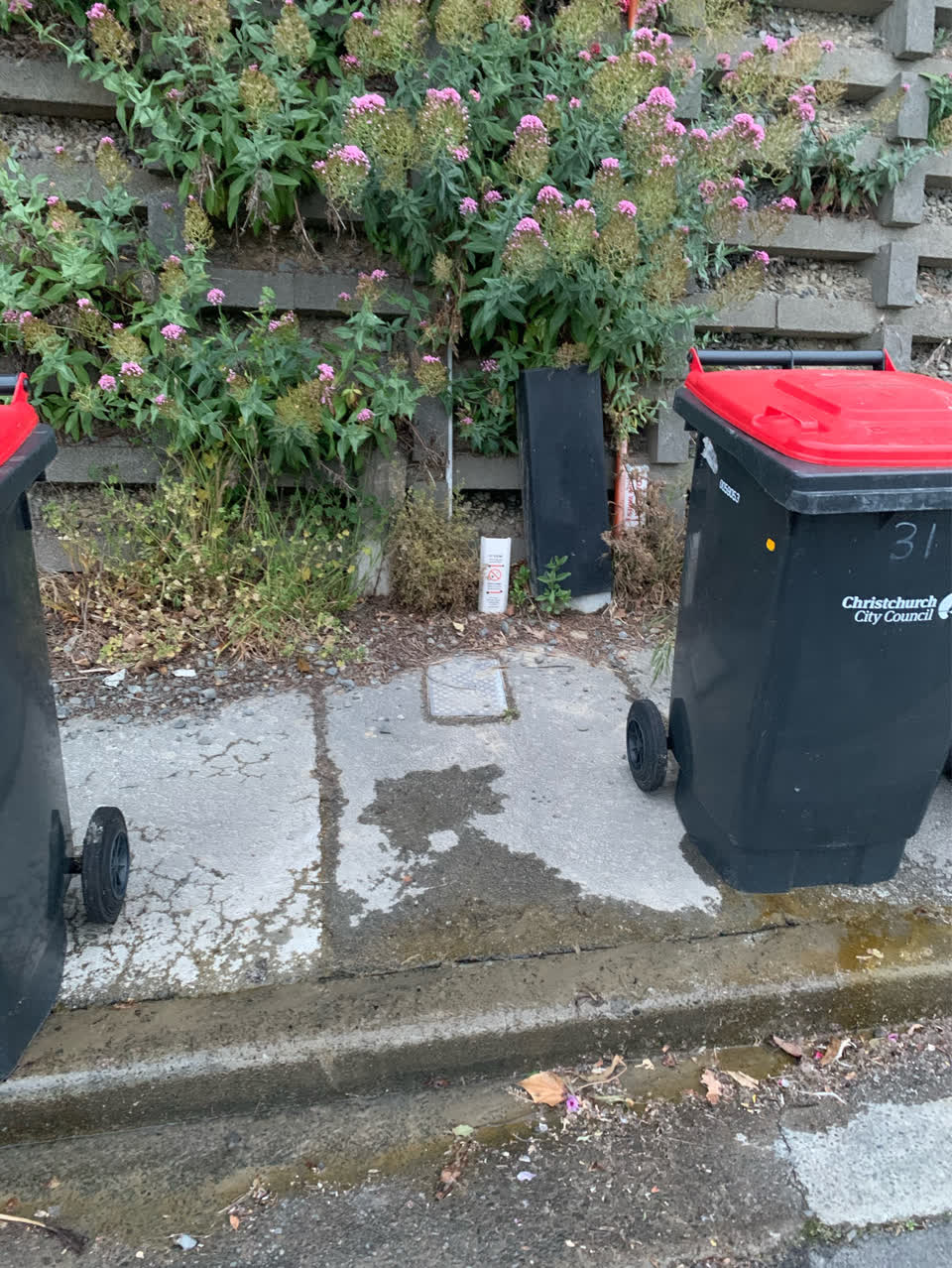 The photograph attached to this water leak report