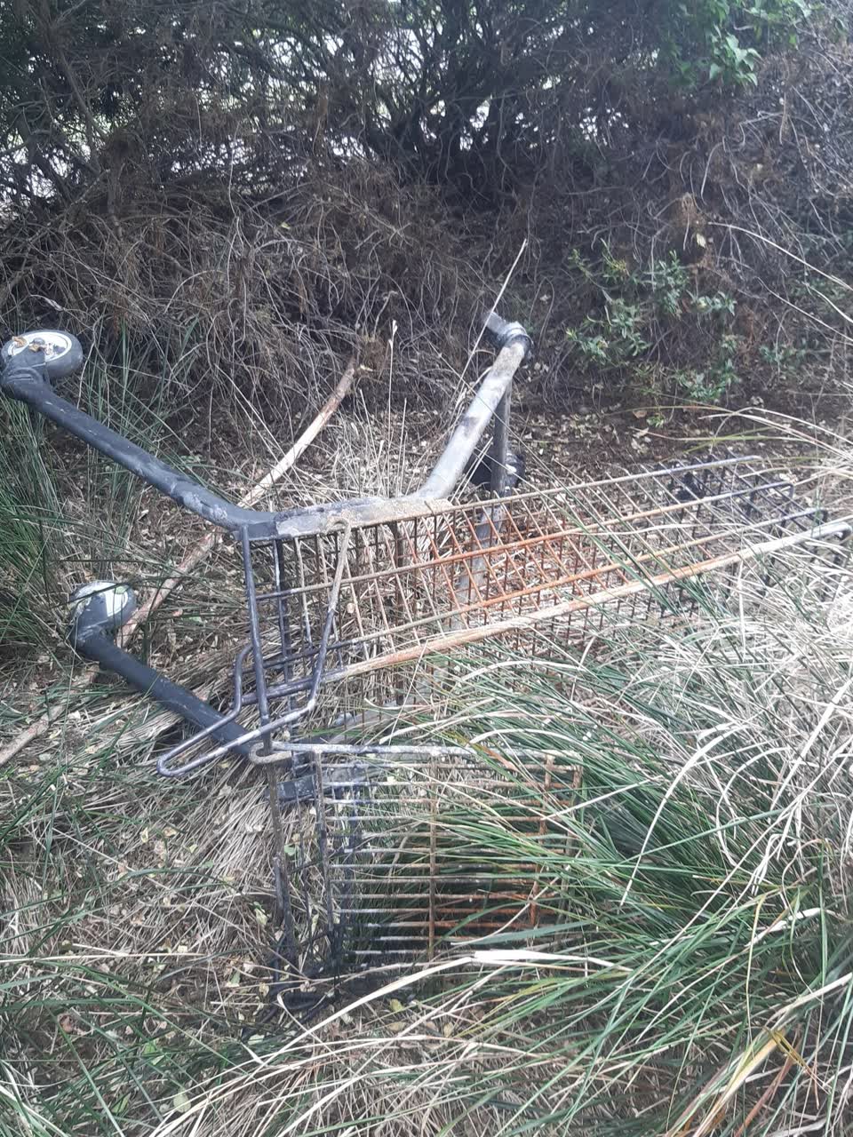 The photograph attached to this parks report