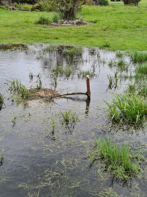 Water Leak, a report photo