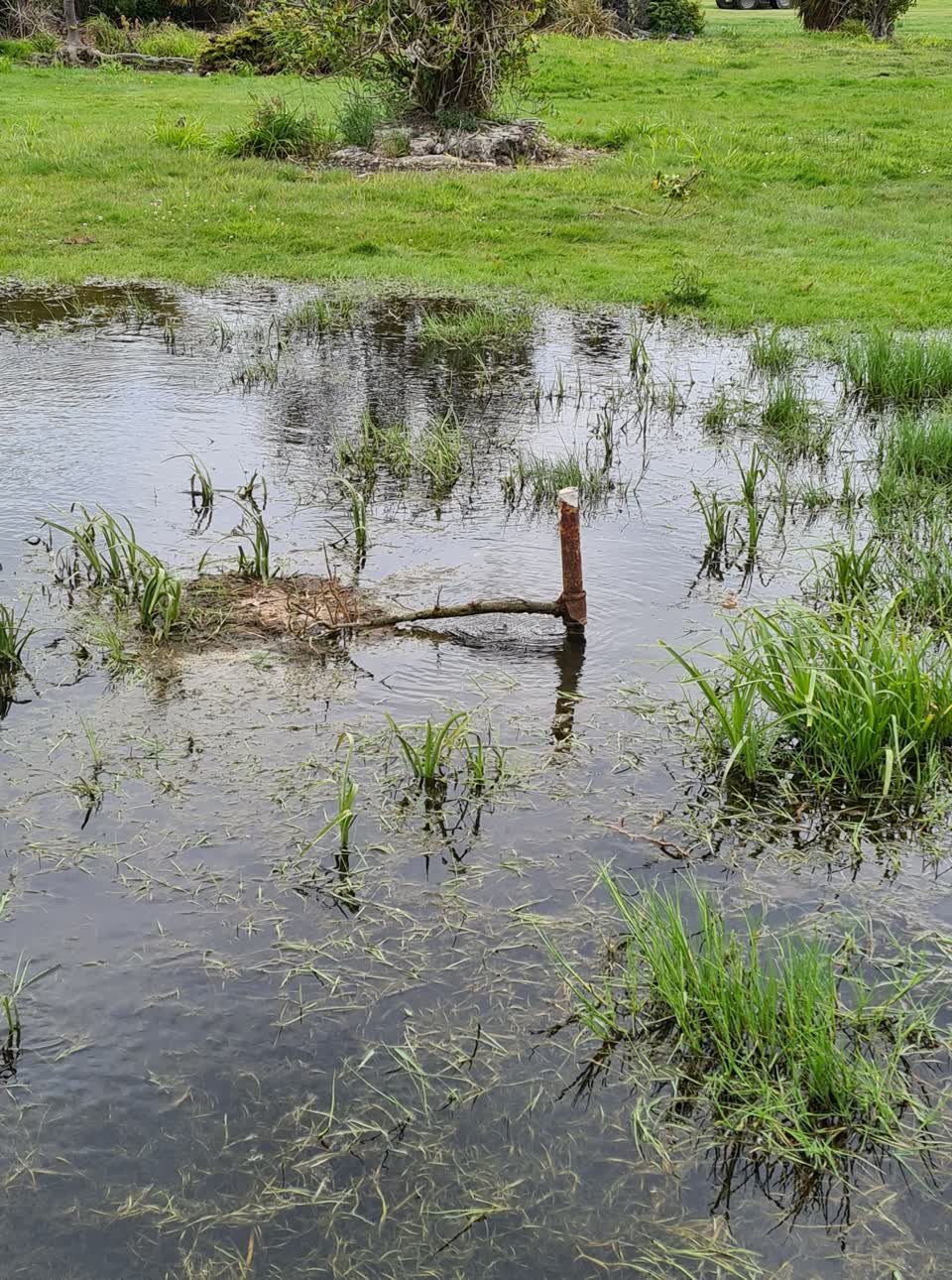 The photograph attached to this water leak report