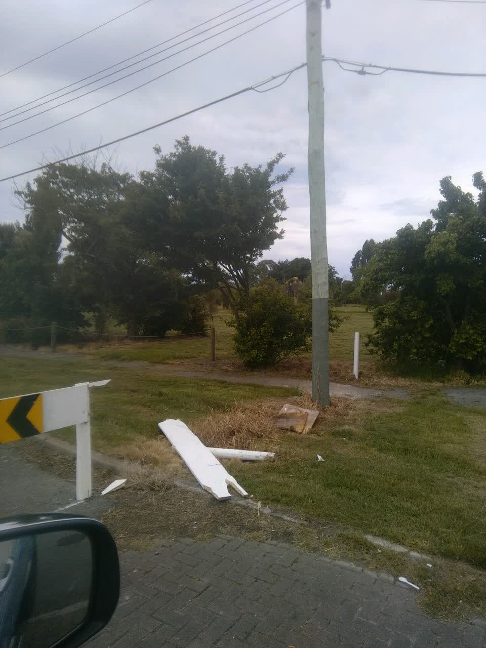 The photograph attached to this parks report