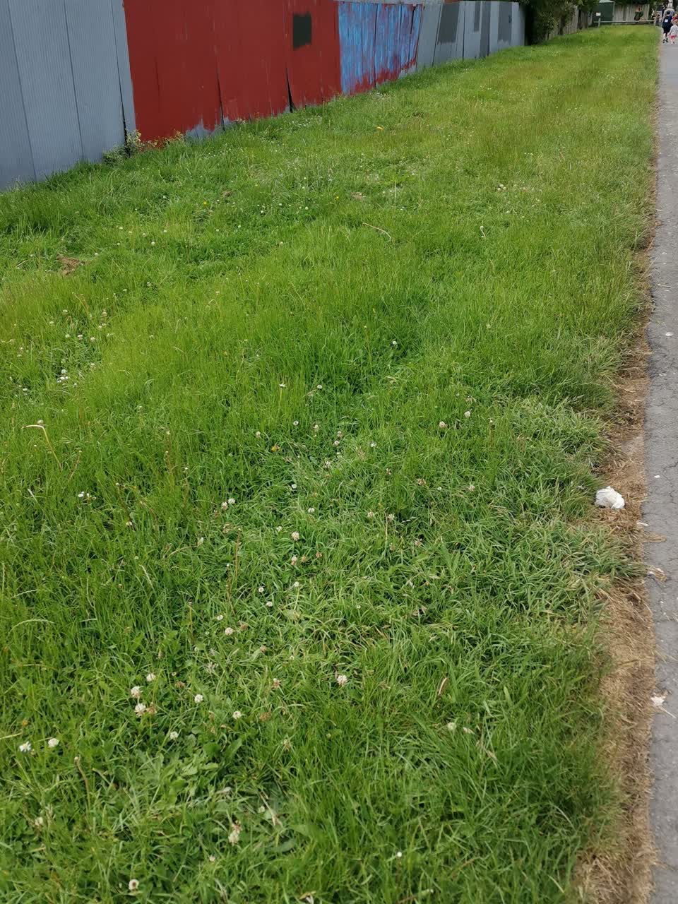 The photograph attached to this parks report