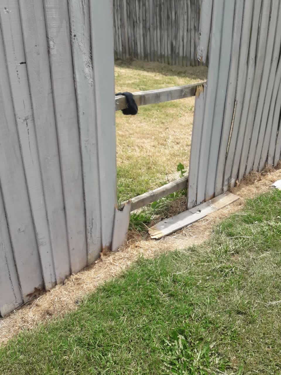 The photograph attached to this parks report