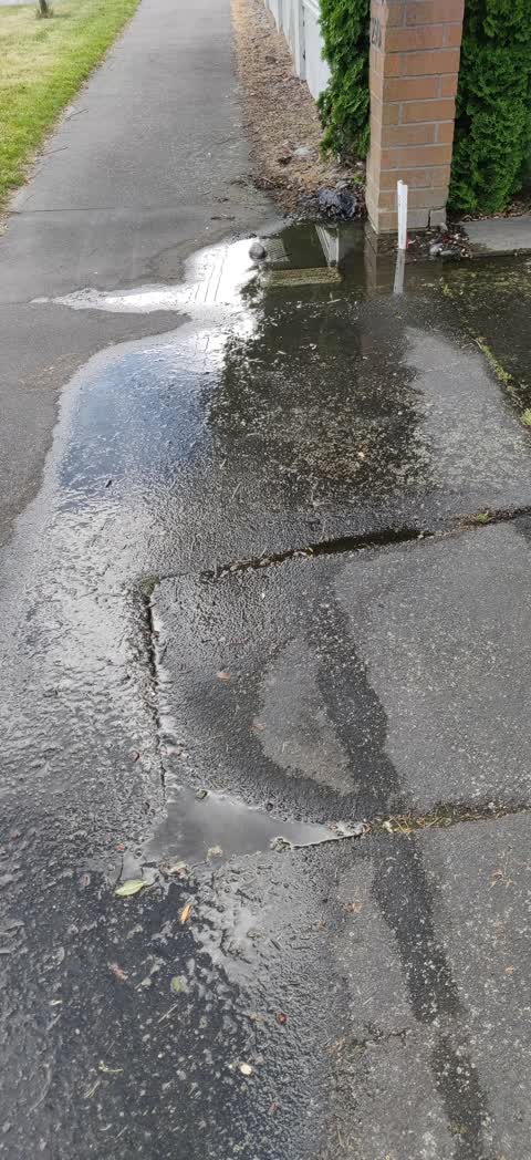 Water Leak, a report photo