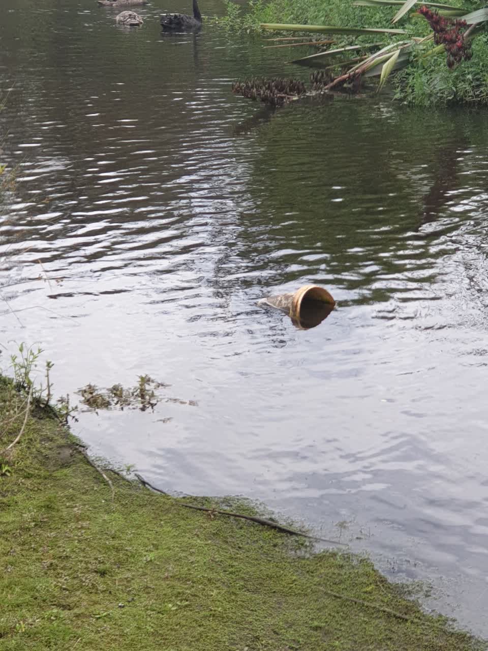 The photograph attached to this parks report