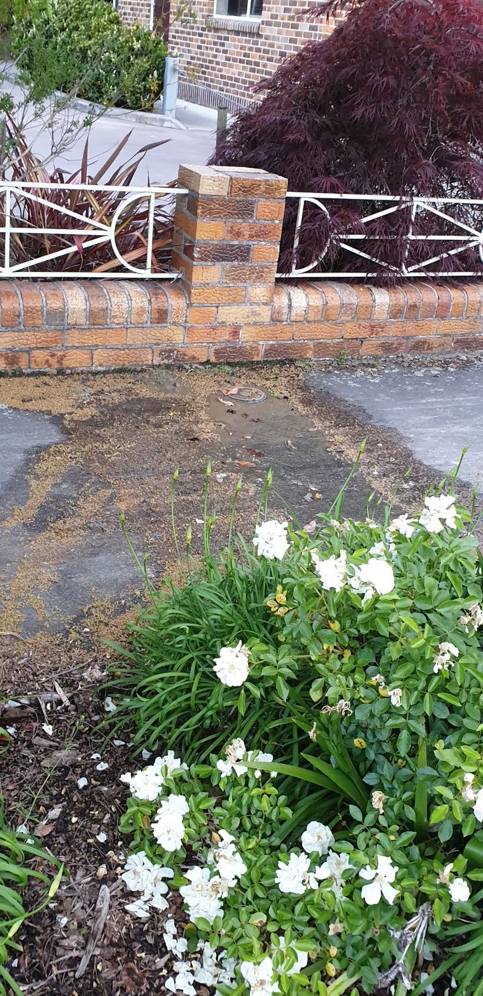 The photograph attached to this water leak report