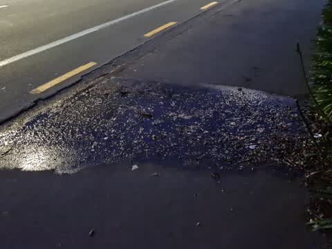Water Leak, a report photo