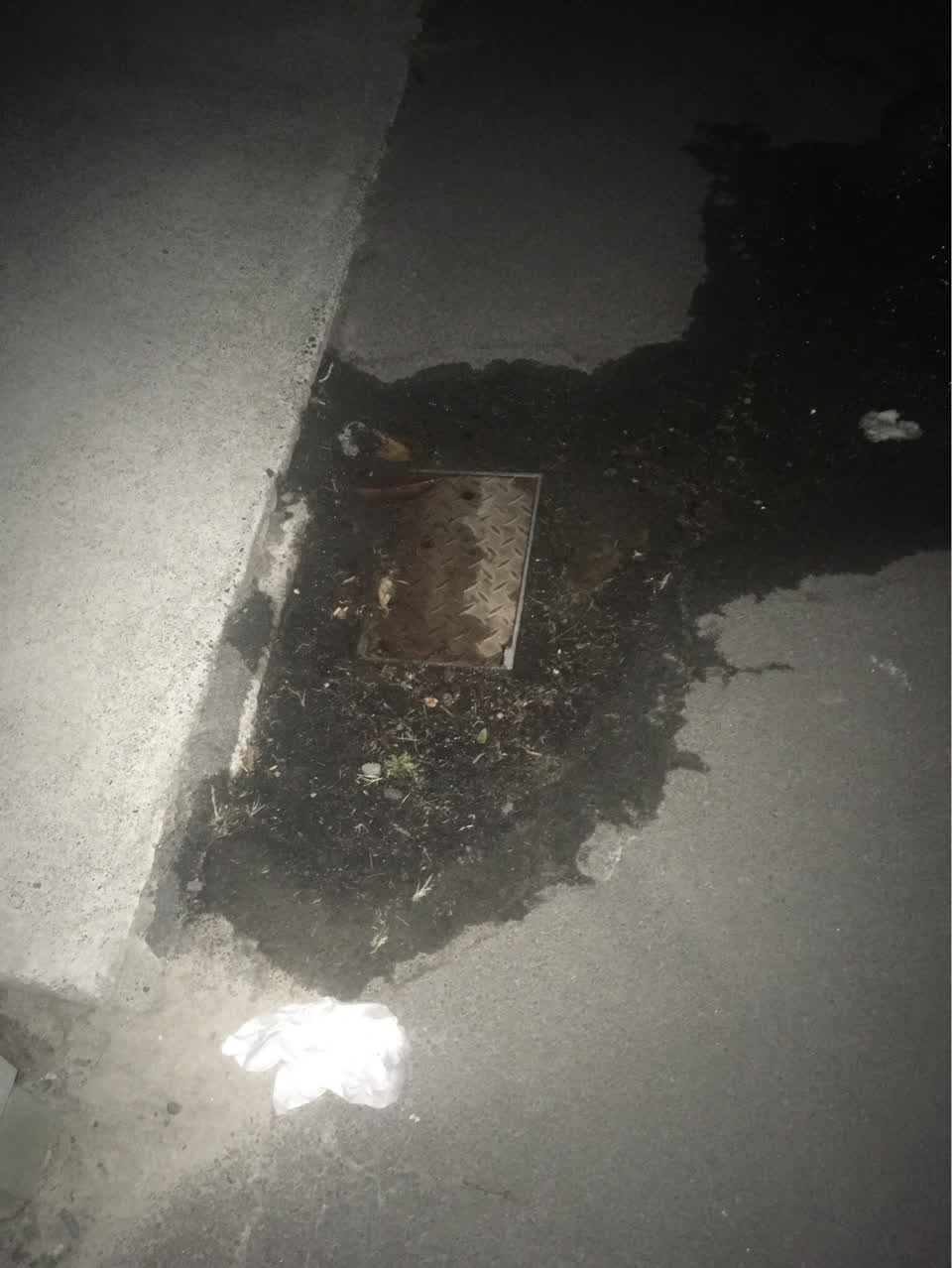 The photograph attached to this water leak report