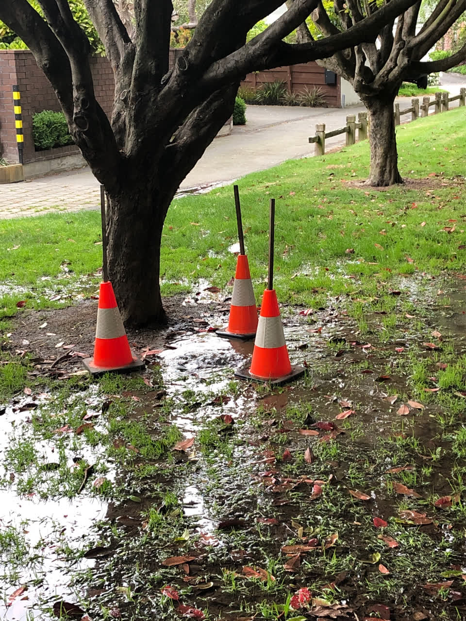 The photograph attached to this water leak report