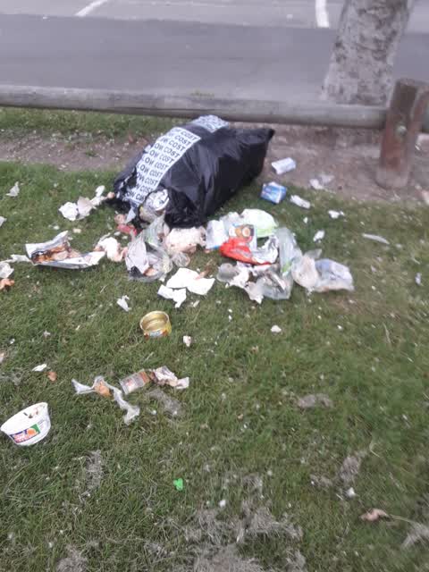 Parks, a report photo