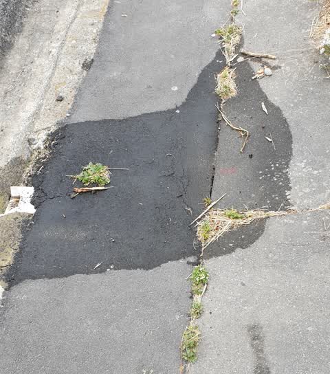 Water Leak, a report photo