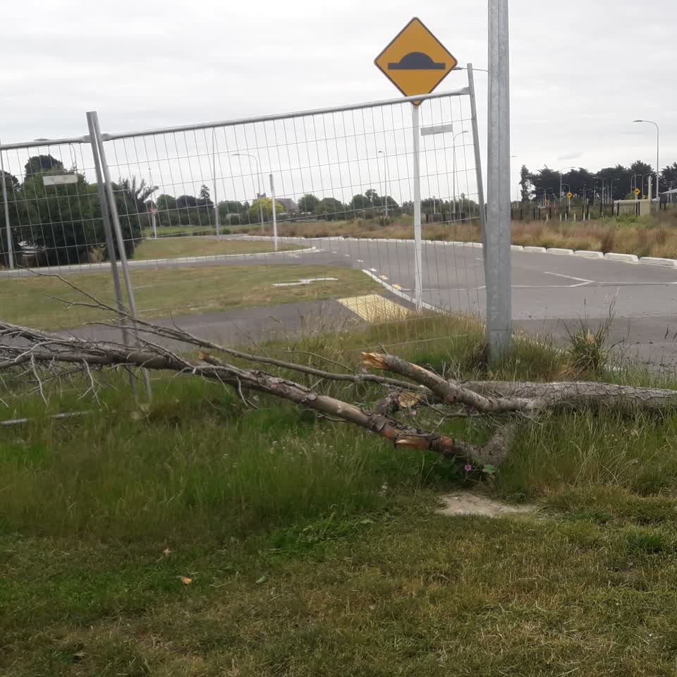 The photograph attached to this parks report