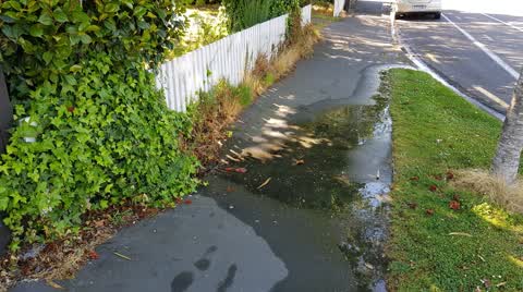 Water Leak, a report photo