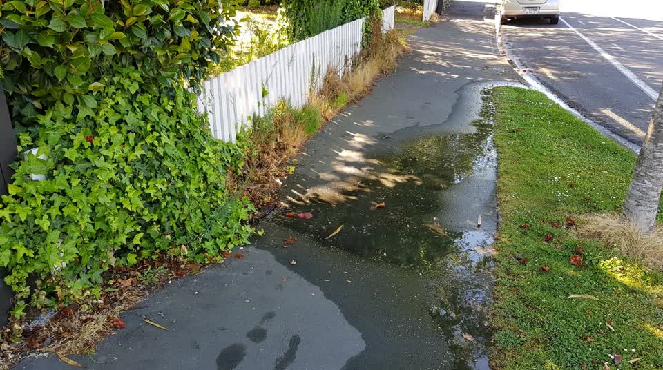 The photograph attached to this water leak report