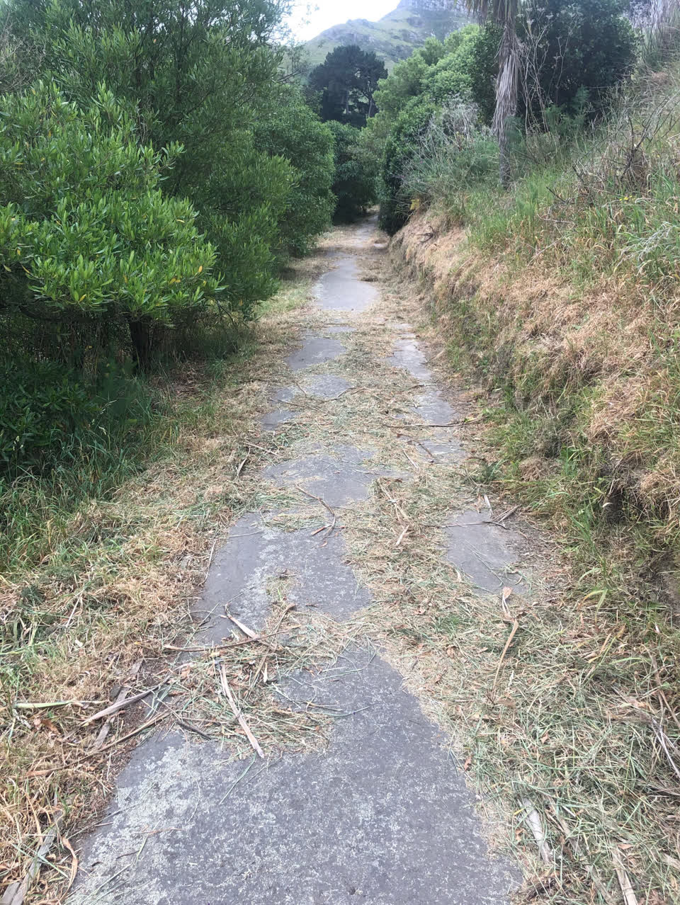 The photograph attached to this parks report