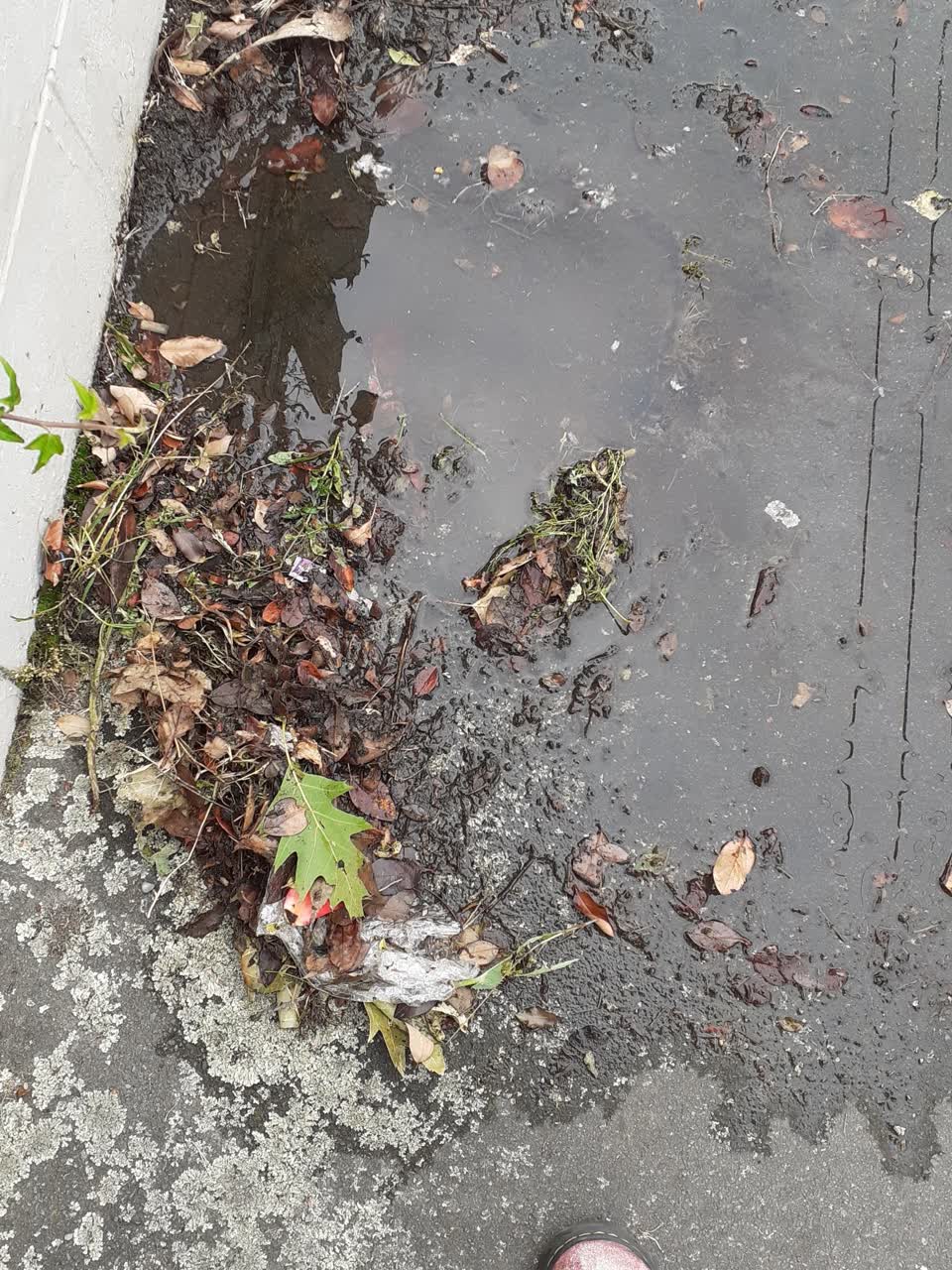 The photograph attached to this water leak report