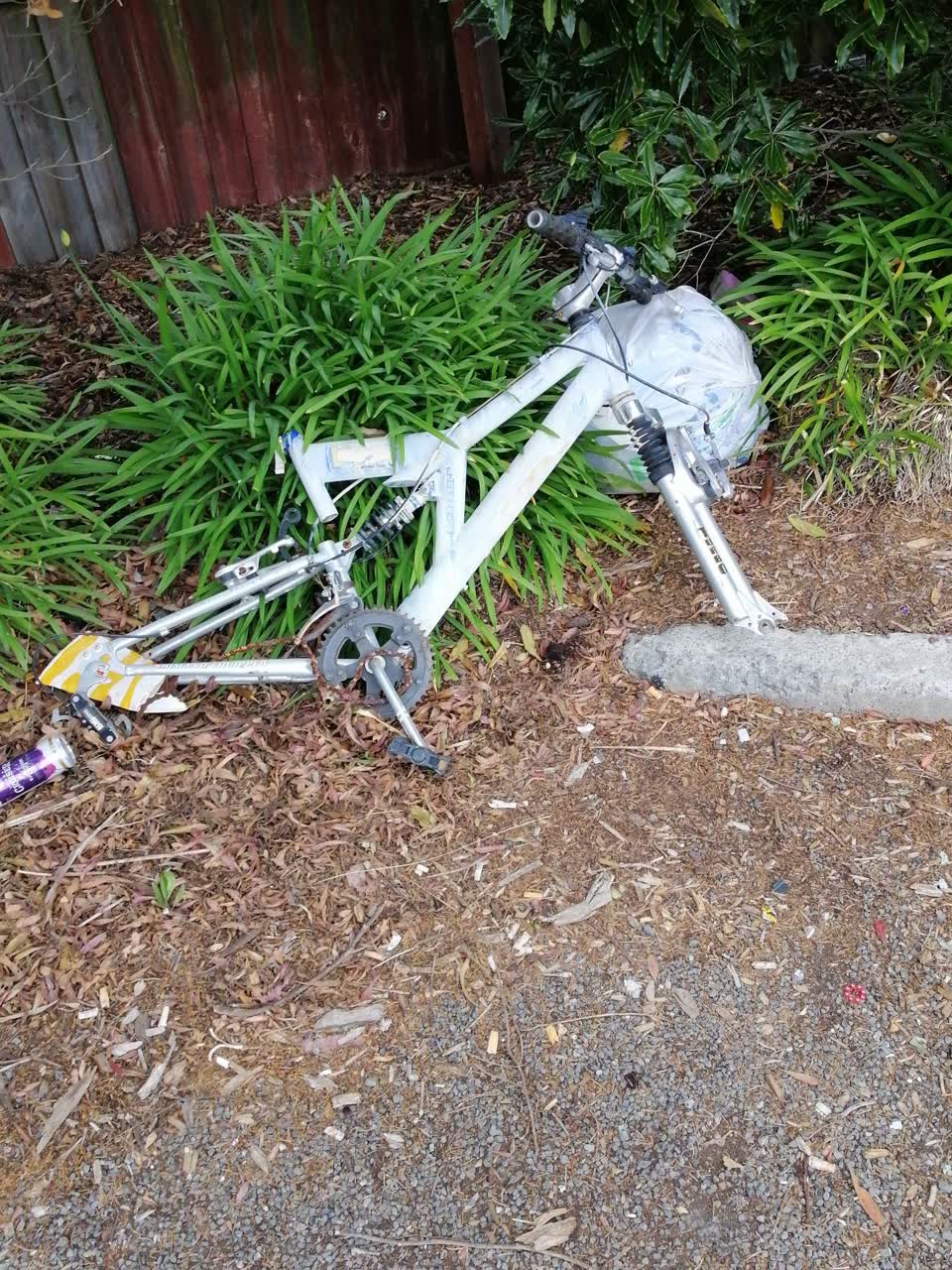 The photograph attached to this parks report