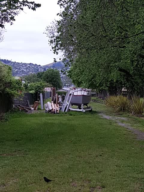 Parks, a report photo