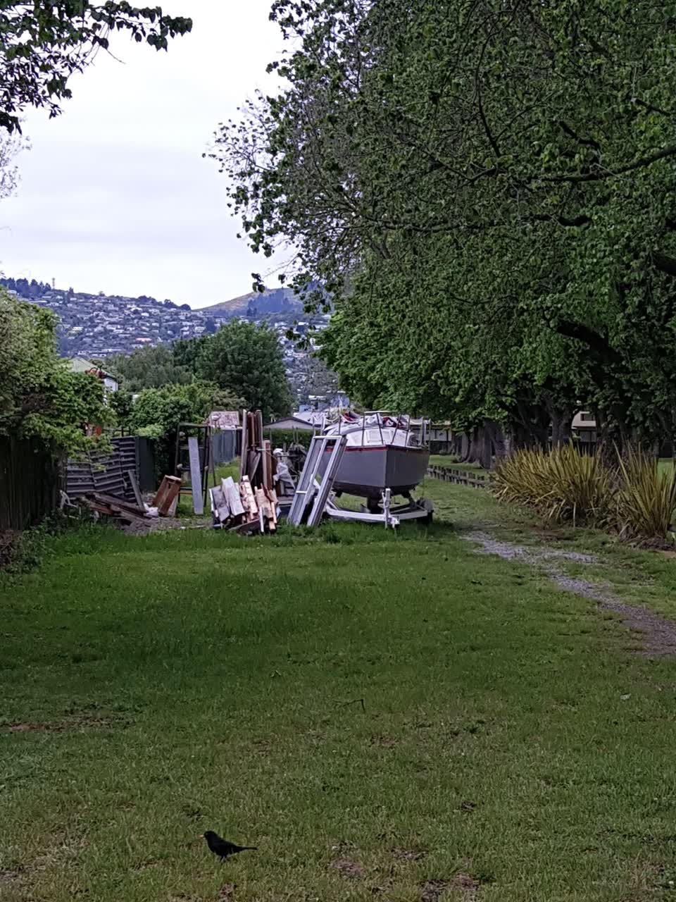 The photograph attached to this parks report
