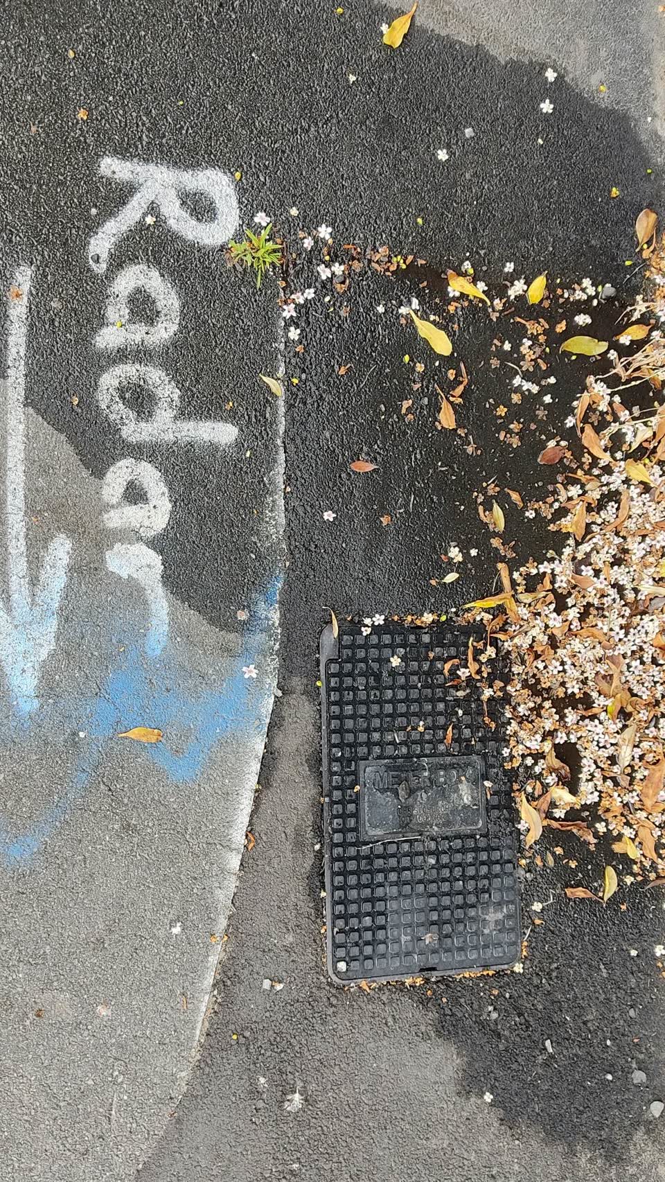 The photograph attached to this water leak report