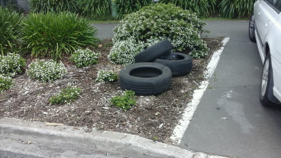 The photograph attached to this rubbish/recycling report