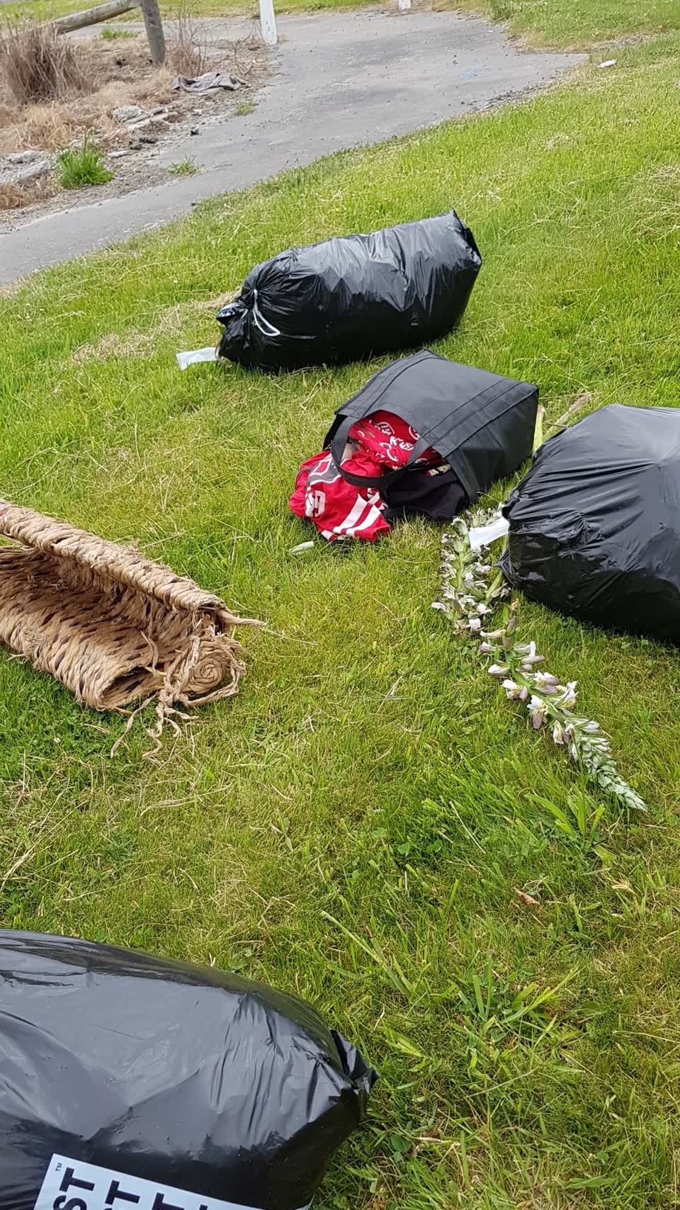 The photograph attached to this rubbish/recycling report