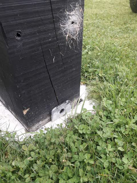 Parks, a report photo