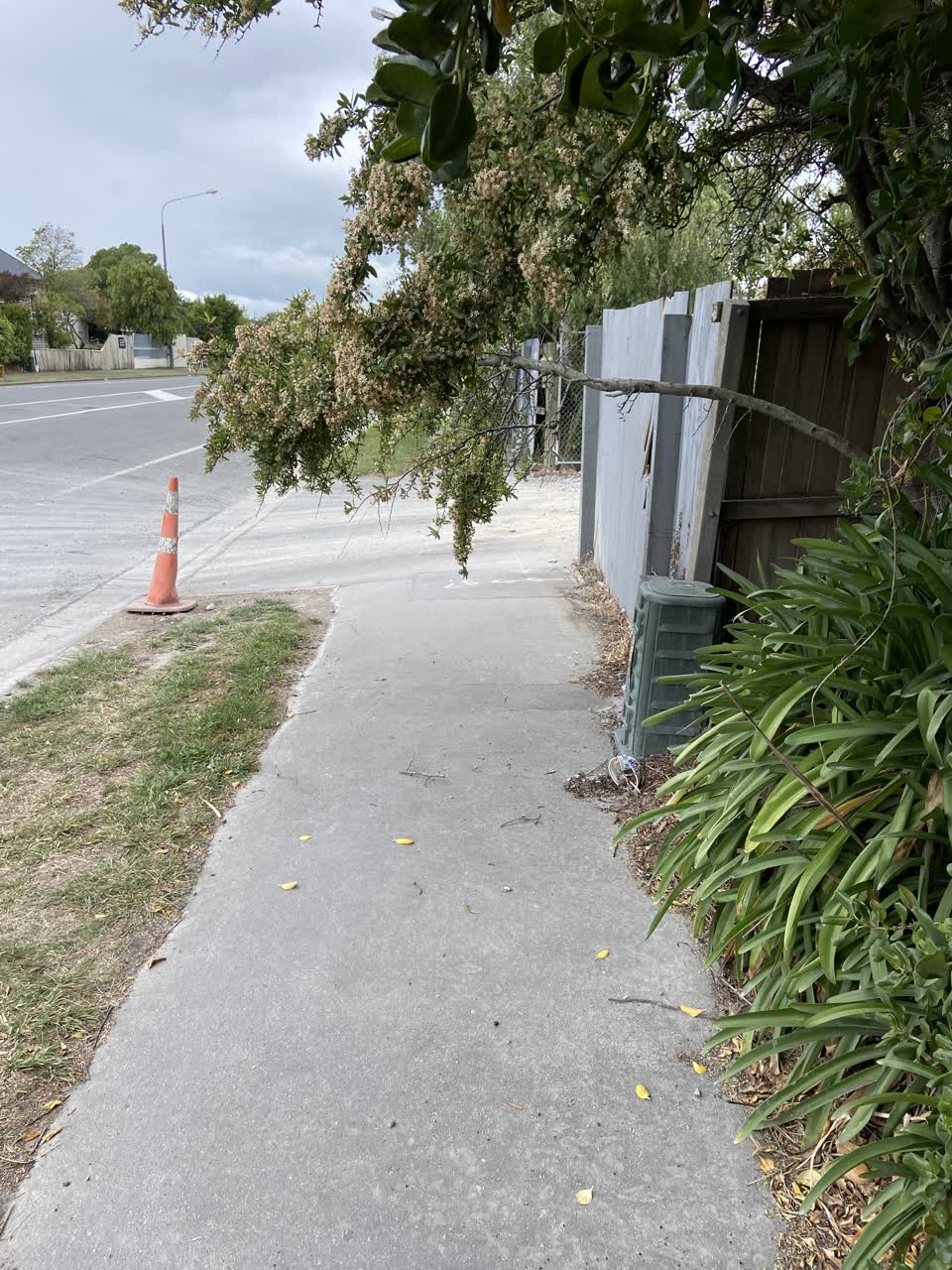 The photograph attached to this roading/streets report