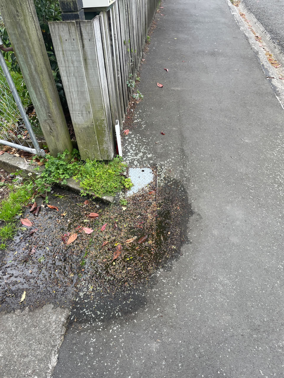 The photograph attached to this water leak report