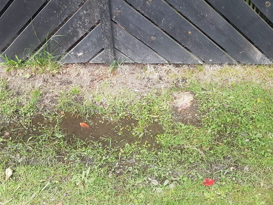 The photograph attached to this water leak report