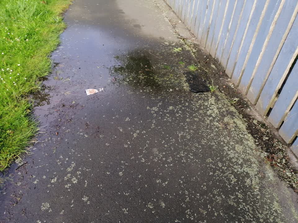 The photograph attached to this water leak report