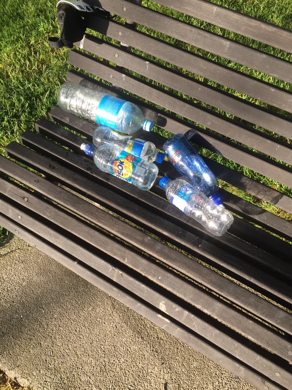 The photograph attached to this parks report