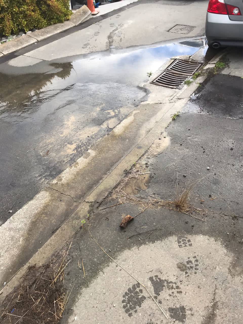 The photograph attached to this water leak report
