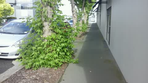 Roading/Streets, a report photo