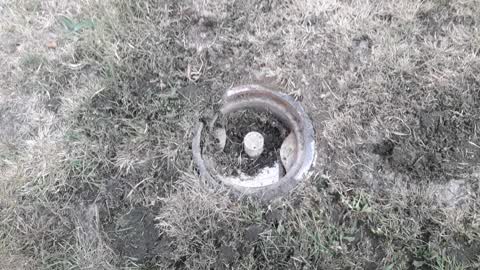 Parks, a report photo
