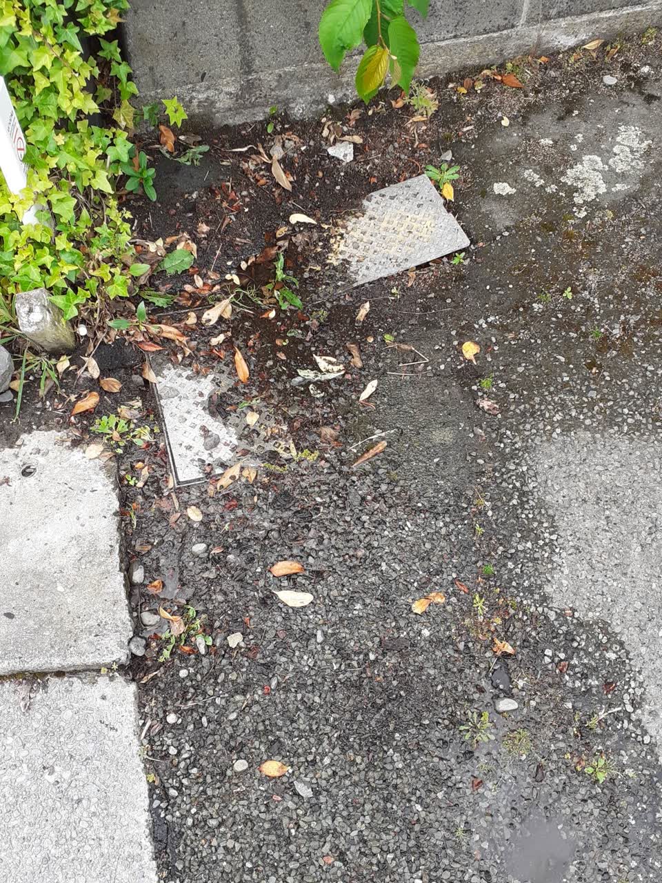 The photograph attached to this water leak report