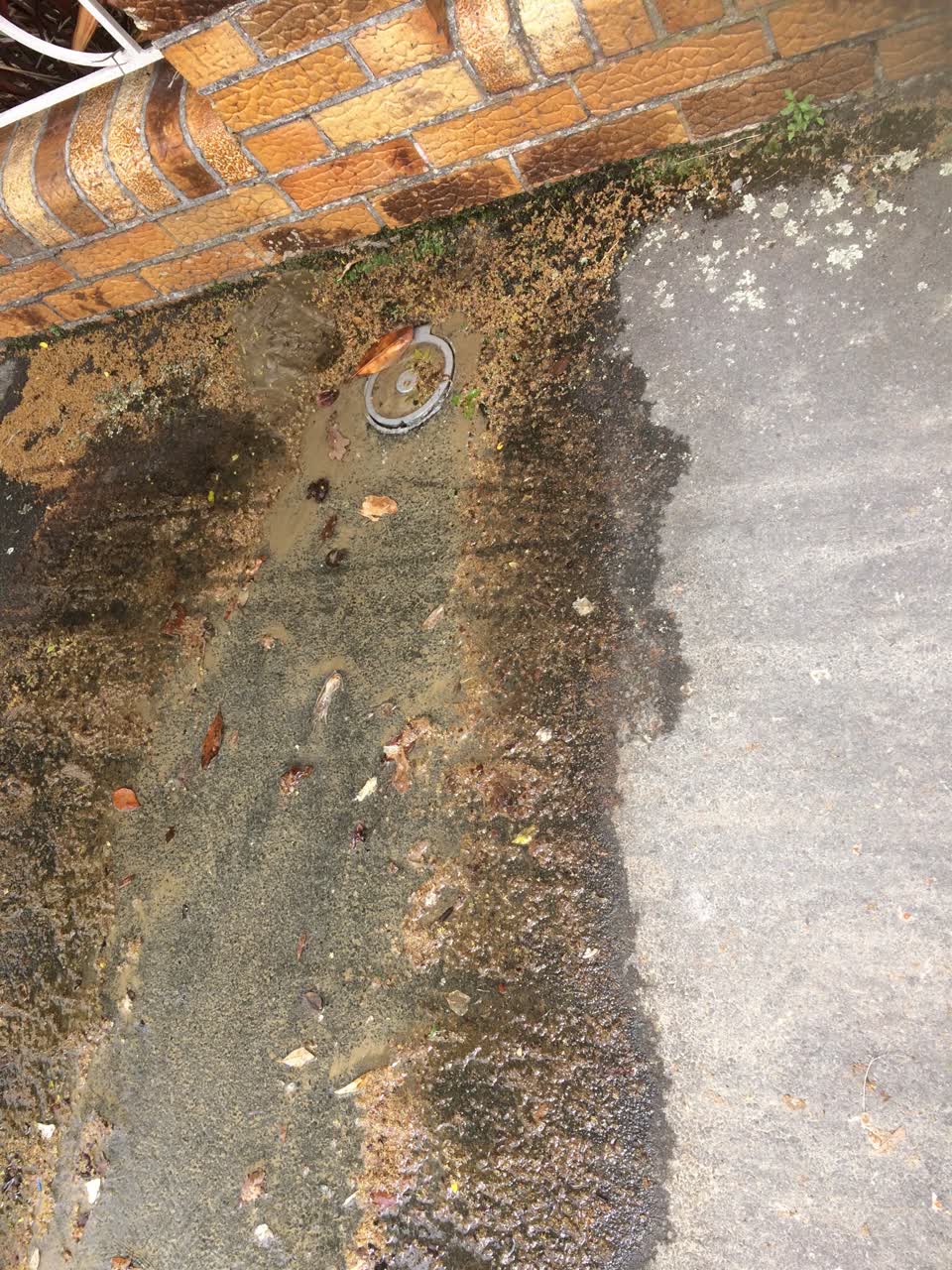 The photograph attached to this flooding report