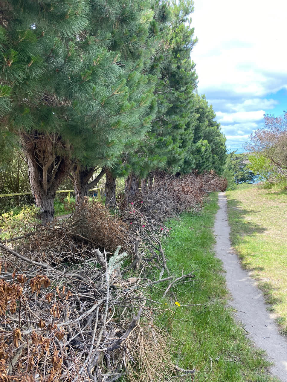 The photograph attached to this parks report