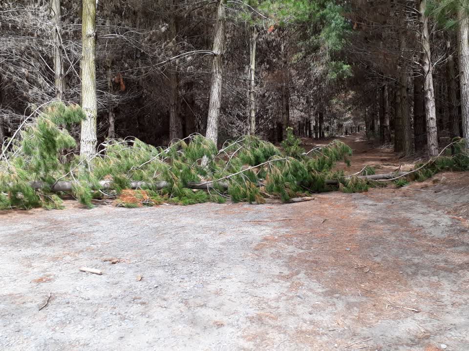The photograph attached to this parks report