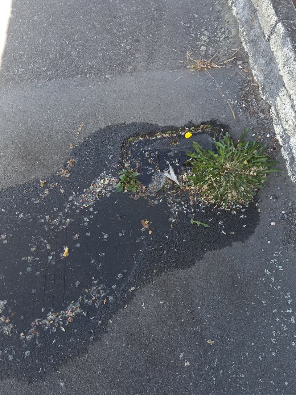 The photograph attached to this water leak report