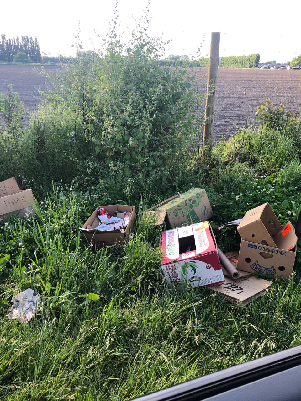 The photograph attached to this rubbish/recycling report