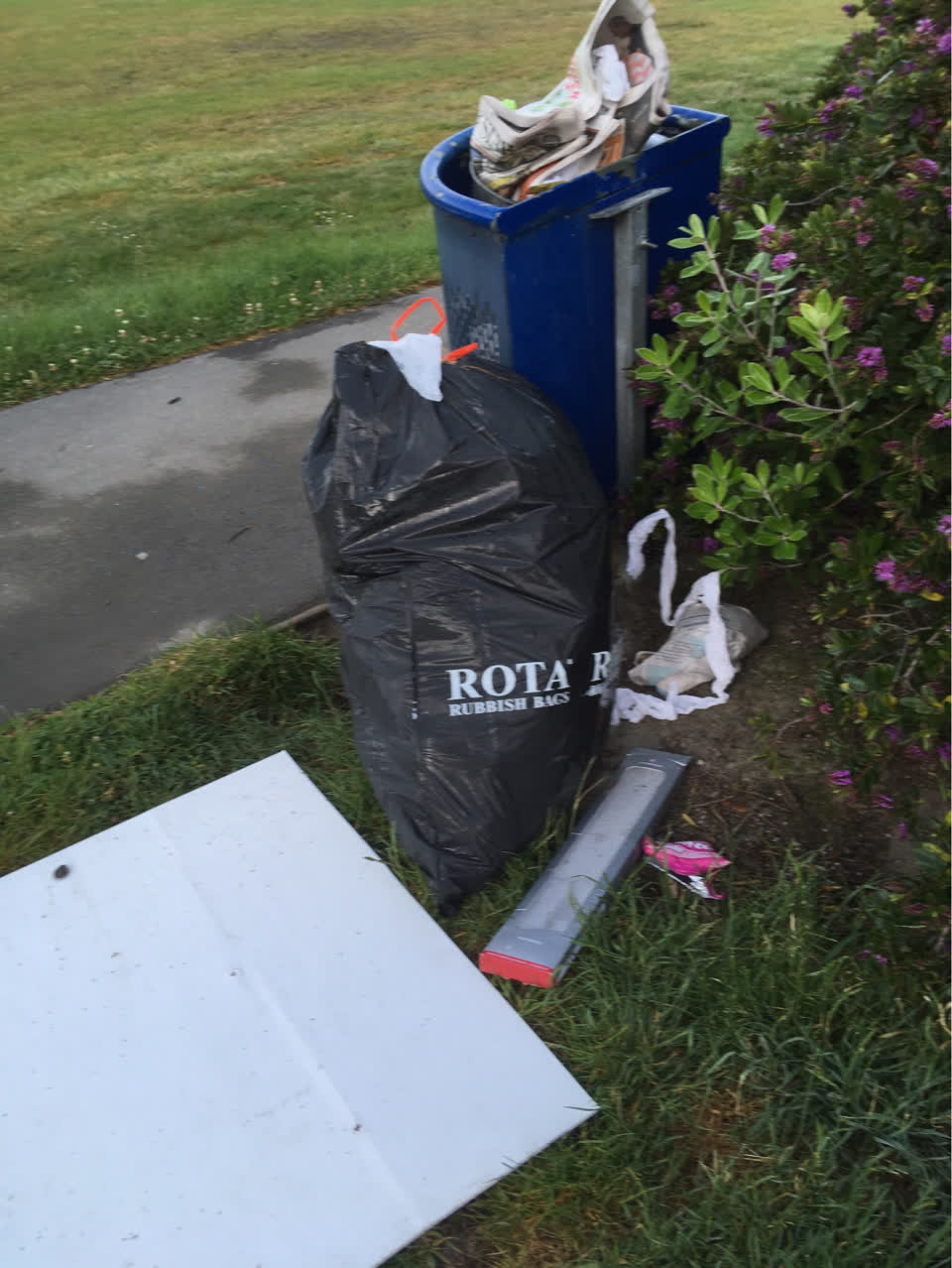 The photograph attached to this rubbish/recycling report