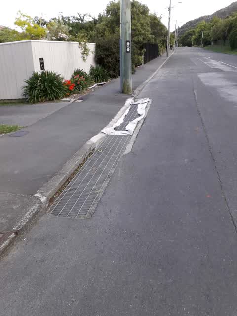 Roading/Streets — a report photo