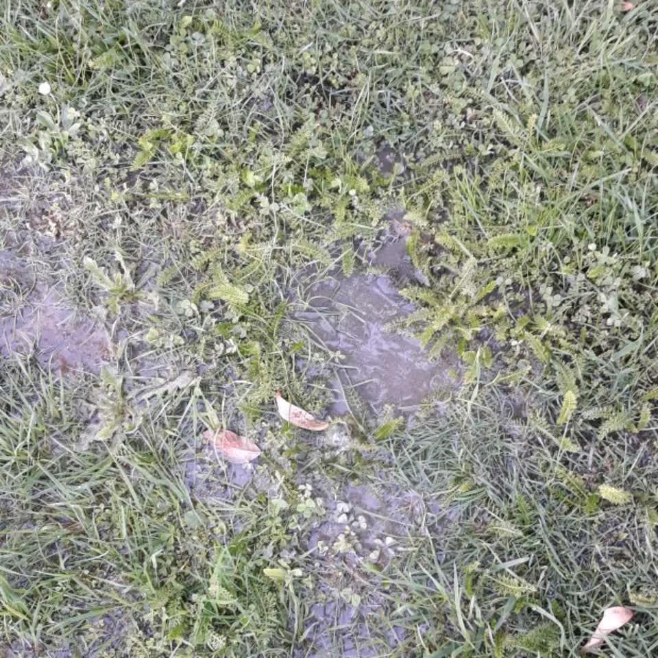 The photograph attached to this water leak report