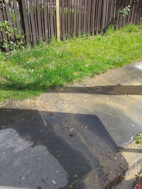 Water Leak, a report photo