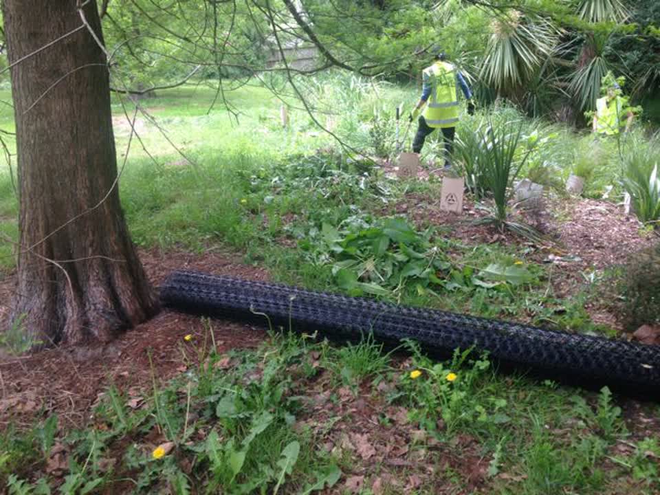 The photograph attached to this parks report