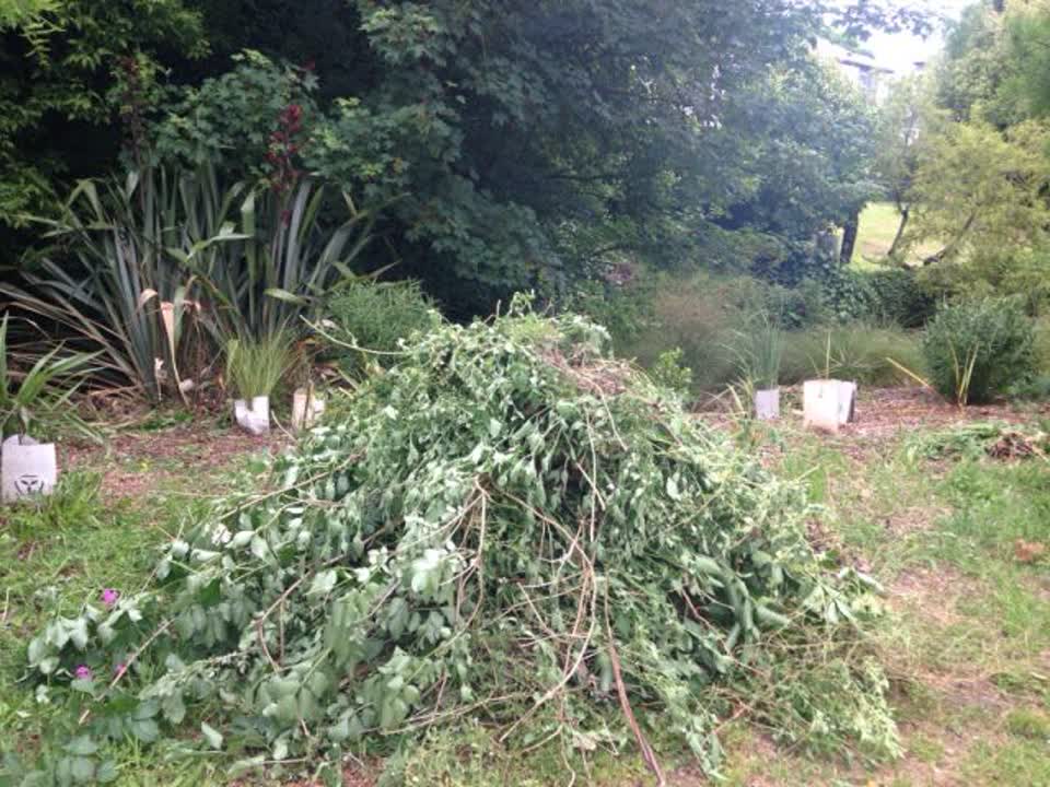 The photograph attached to this parks report